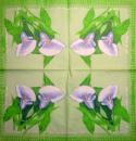035 Calla - 3-ply